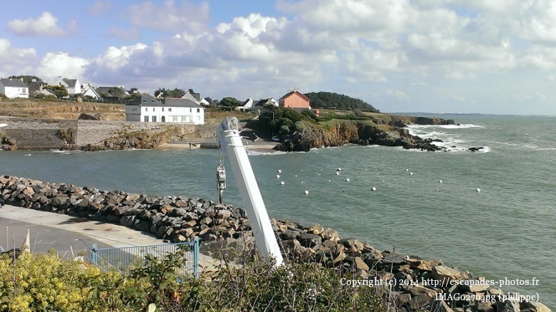 IMAG0270.jpg