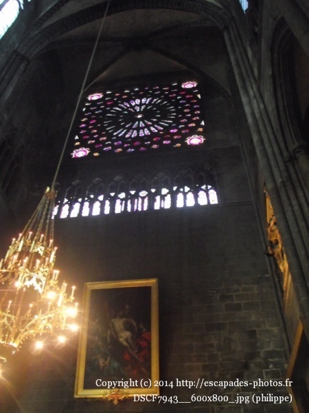 DSCF7943__600x800_.jpg