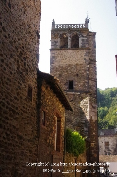 IMGP9061__531x800_.jpg