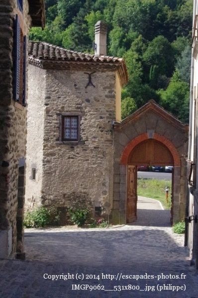 IMGP9062__531x800_.jpg