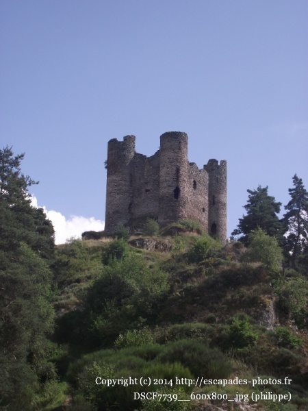 DSCF7739__600x800_.jpg