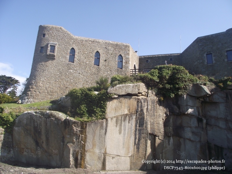 DSCF7343 (800x600).jpg