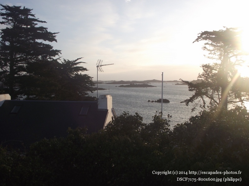 DSCF7175 (800x600).jpg