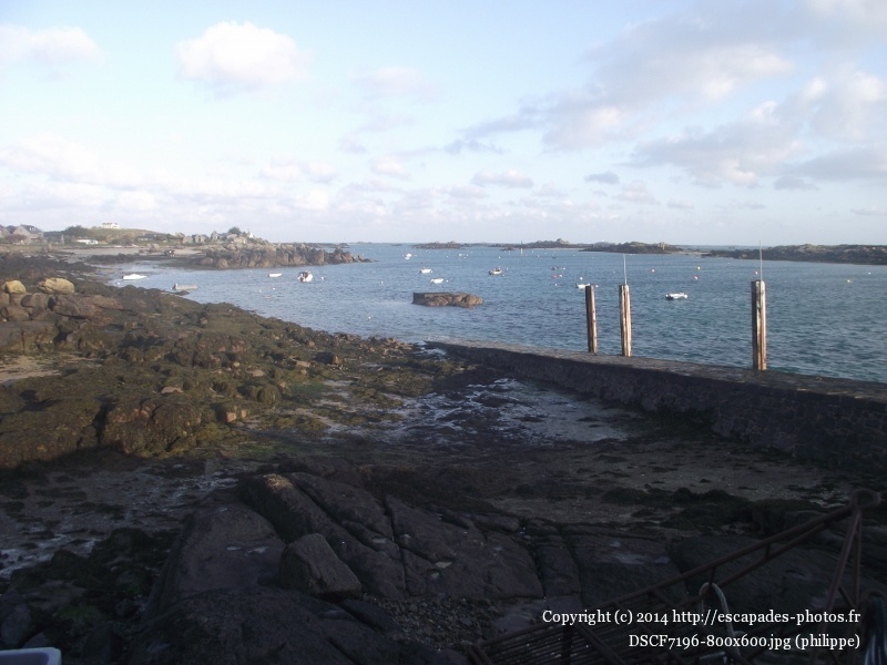 DSCF7196 (800x600).jpg