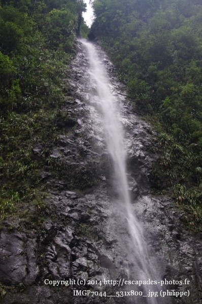 IMGP7044__531x800_.jpg