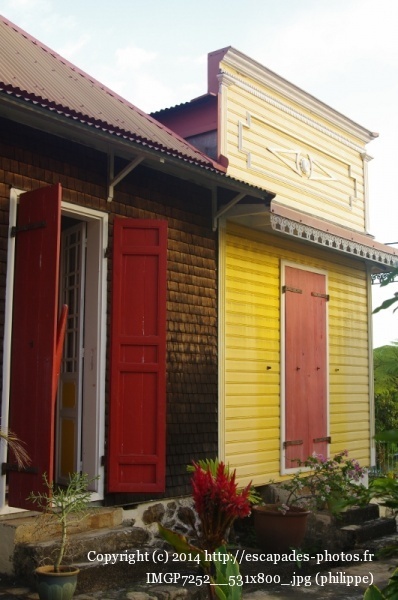 IMGP7252__531x800_.jpg