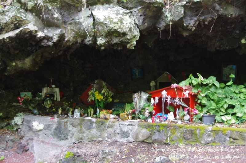 IMGP6771__800x531_.jpg
