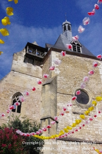 IMGP8847__531x800_.jpg