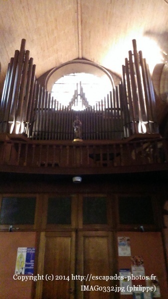IMAG0332.jpg