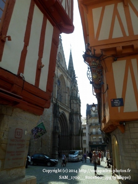 SAM_1700__800x600_.jpg