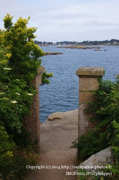 IMGP0011.JPG