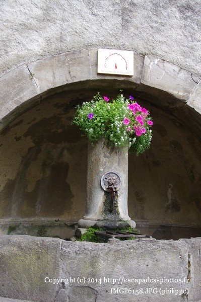 IMGP6158.JPG