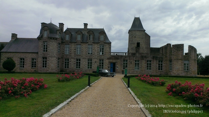 IMAG0620.jpg