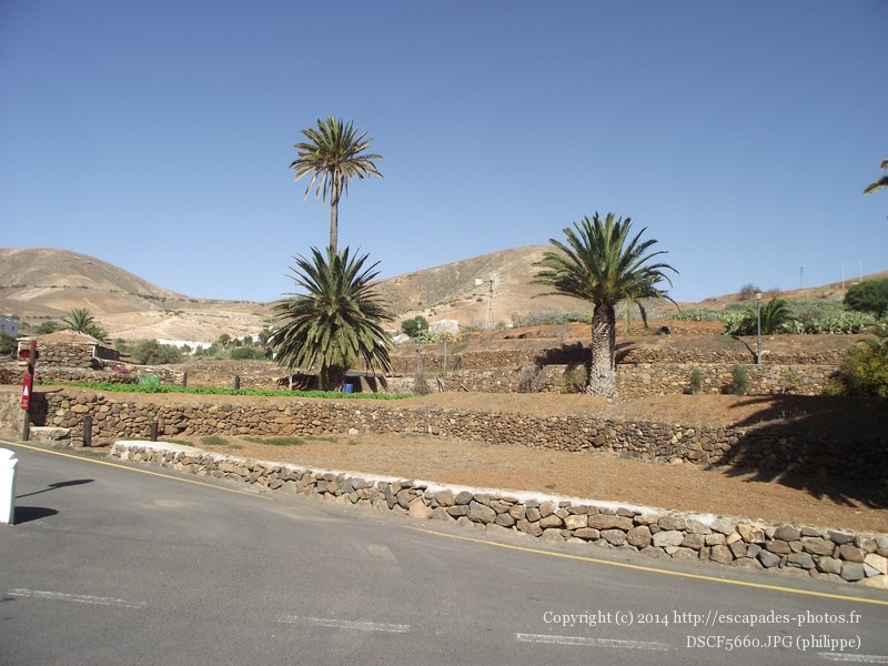 DSCF5660.JPG