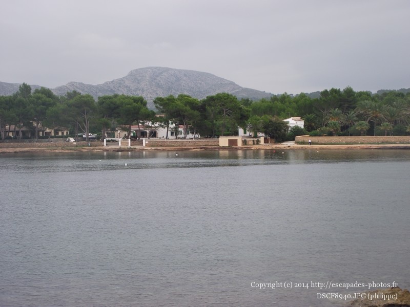 DSCF8940.JPG