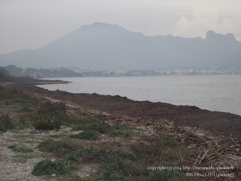 DSCF8945.JPG