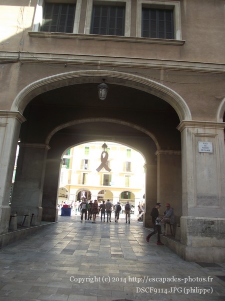 DSCF9114.JPG