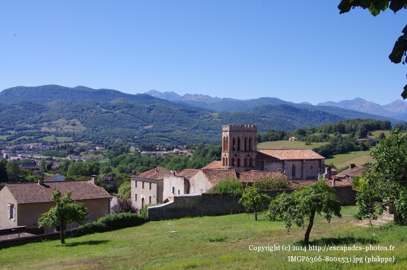 IMGP6366 (800x531).jpg