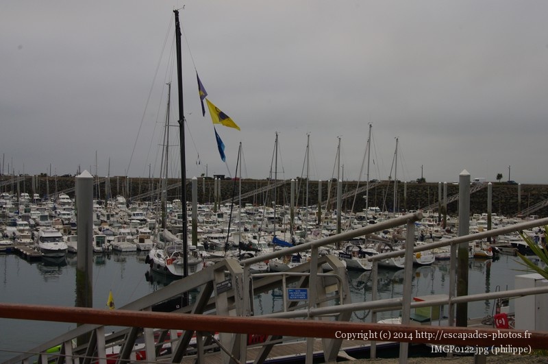 IMGP0122.jpg
