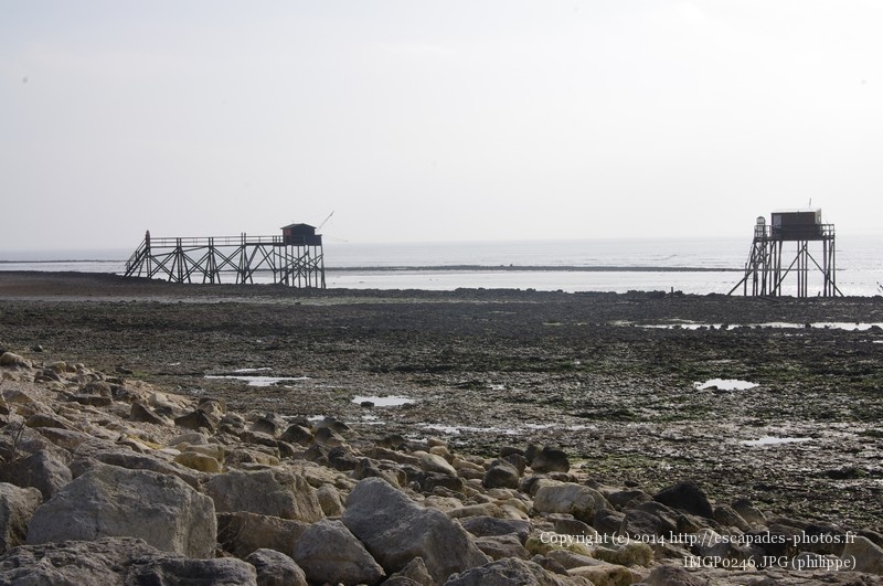 IMGP0246.JPG