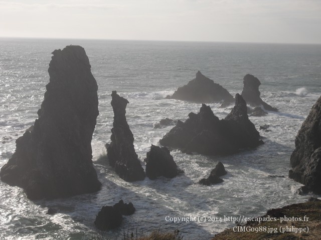 CIMG0988.jpg