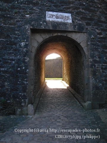 CIMG0736.jpg