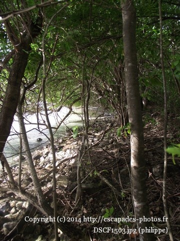 DSCF1503.jpg