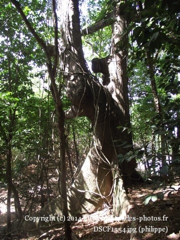 DSCF1554.jpg