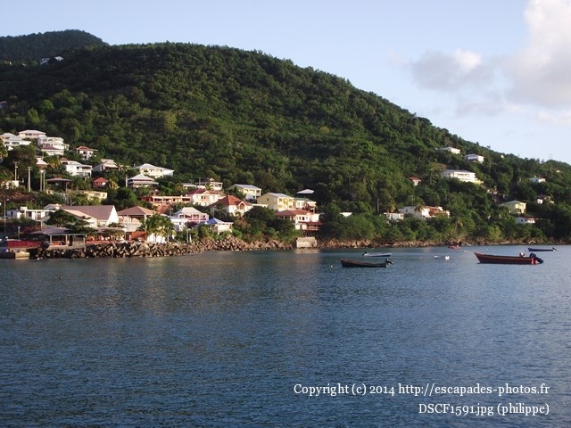 DSCF1591.jpg