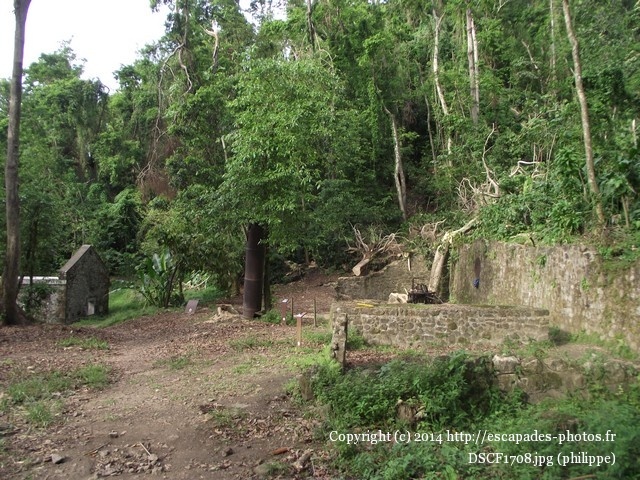 DSCF1708.jpg