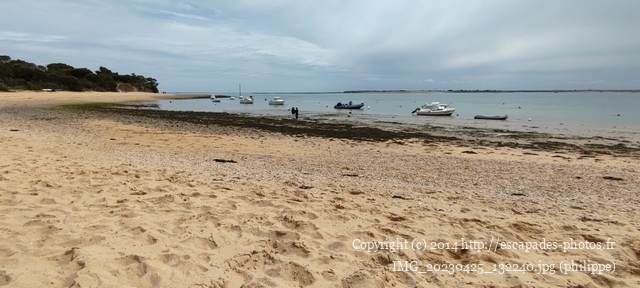 IMG_20230425_132240.jpg