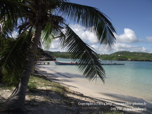 DSCF2040.jpg