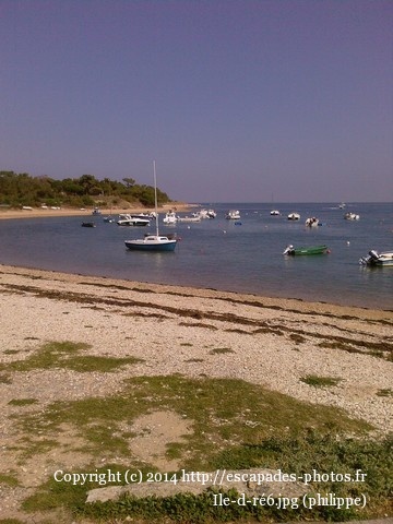 Ile d ré6.jpg