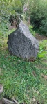 IMG_20260814_104549.jpg