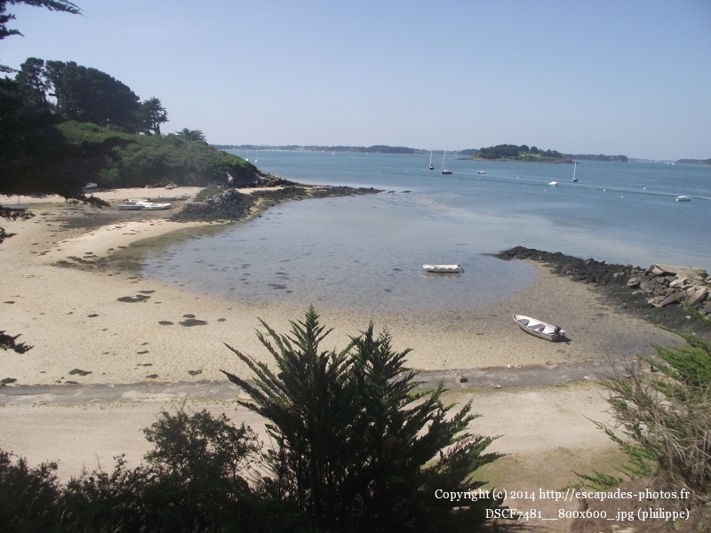 DSCF7481__800x600_.jpg