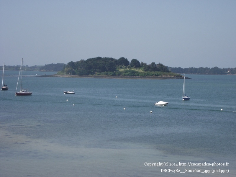 DSCF7482__800x600_.jpg