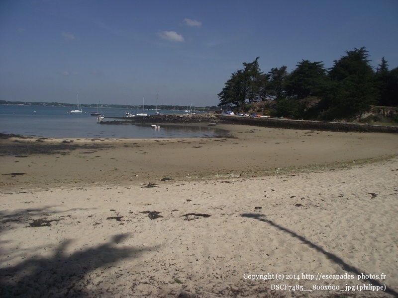 DSCF7485__800x600_.jpg