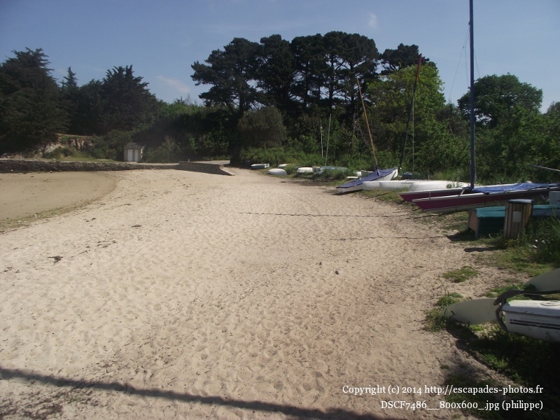 DSCF7486__800x600_.jpg