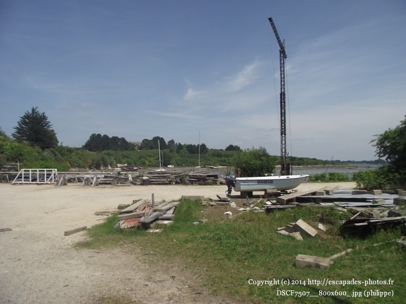 DSCF7507__800x600_.jpg