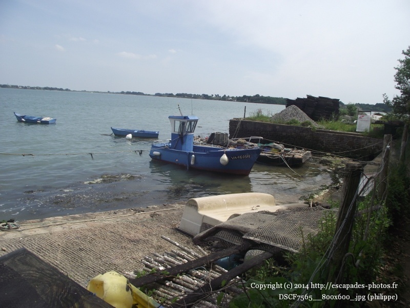 DSCF7565__800x600_.jpg