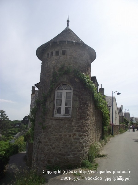 DSCF7571__800x600_.jpg