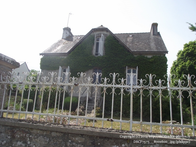 DSCF7573__800x600_.jpg