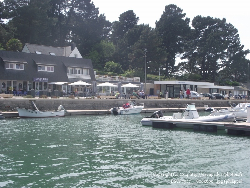 DSCF7577__800x600_.jpg