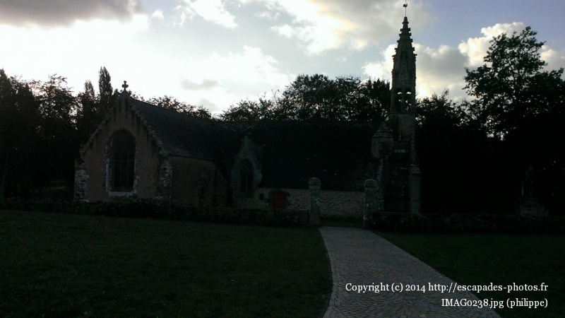 IMAG0238.jpg