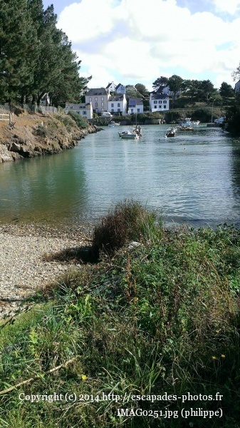 IMAG0251.jpg