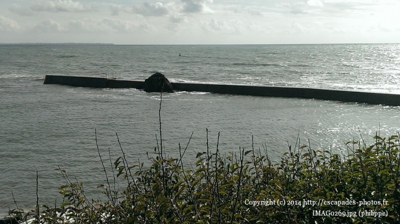 IMAG0269.jpg
