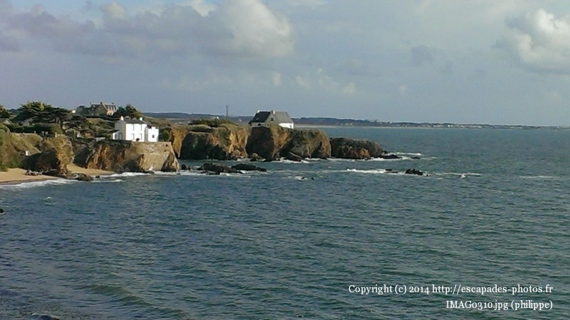 IMAG0310.jpg