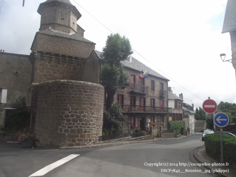 DSCF7842__800x600_.jpg