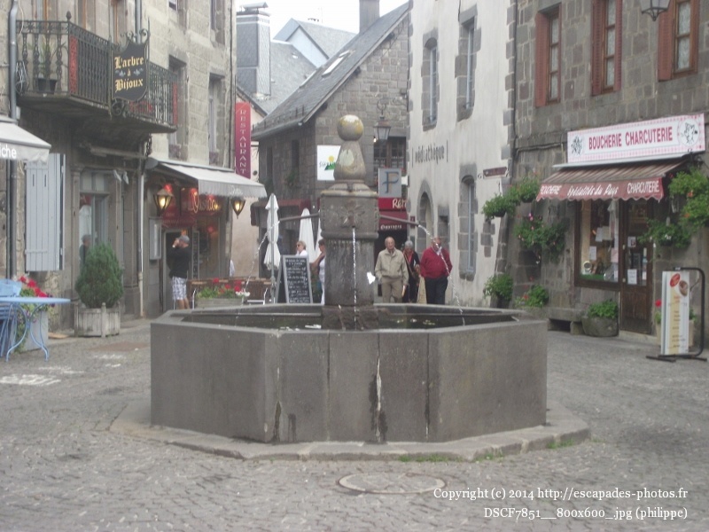 DSCF7851__800x600_.jpg
