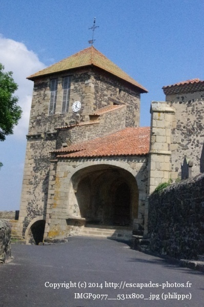 IMGP9077__531x800_.jpg